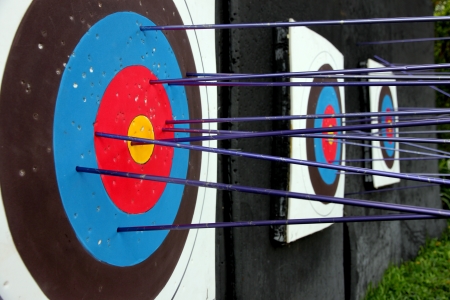 The Picture Target archery and many arrow after shoot 