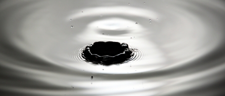 Closeup Pictures Water drops a beautiful shape It's like a crown.の写真素材