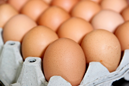 Zoom picture Eggs that are in the panel 
