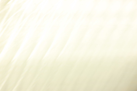 Yellow abstract backgrond in Source of natural light.の写真素材