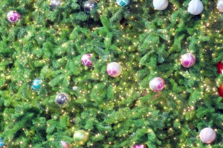 Christmas tree and equipment in decorated.の写真素材