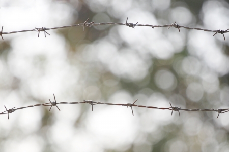 barbed wire fence on bokeh background.の写真素材