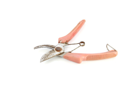 Old Pruning Shears tool isolated on white background.