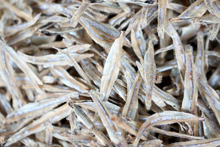 Drying sea fish in preservation of foods for background.の写真素材