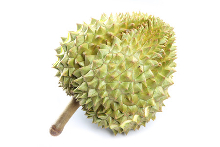 ripe durian isolated on white background.の写真素材