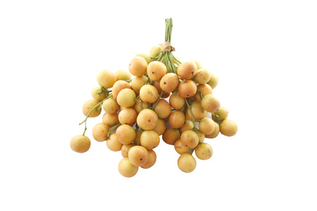 Baccaurea ramiflora or burmese grapes on white background.の写真素材
