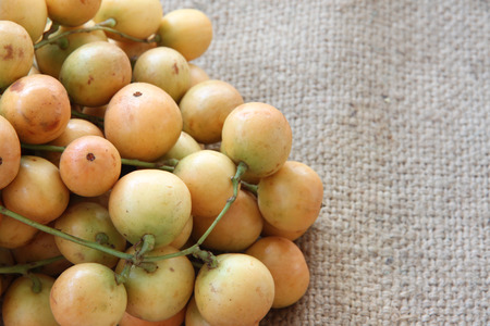 Baccaurea ramiflora or burmese grapes on sackcloth of background.