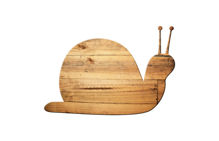 The shape of snail on old wood surface for natural background.の写真素材