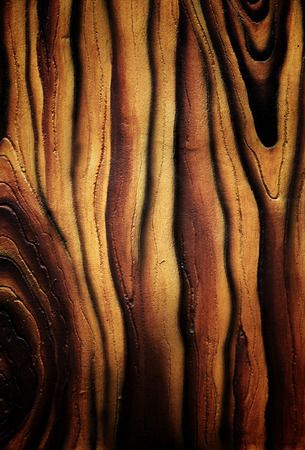 The surface of dark tree for the nature background.の写真素材