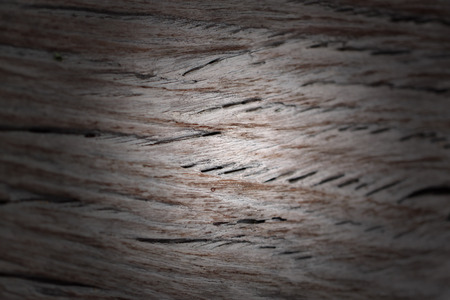 uneven textured of old wood for the background.の写真素材