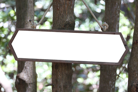 Wooden sign hanging on the mangroves.の写真素材