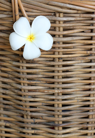 The white plumeria stuck on wicker basket background.の写真素材