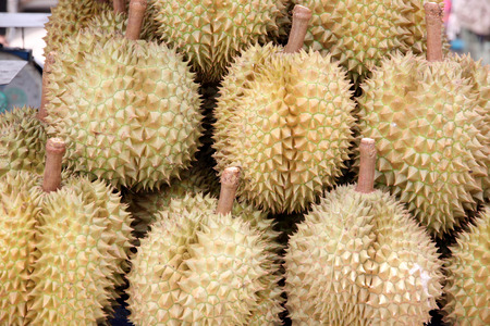 Durian of local fruits in Thailand for foods background.の写真素材