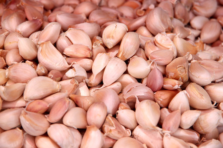 Garlic in the market for foods background.の写真素材