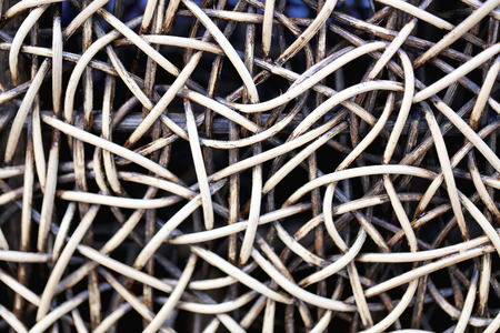 Texture of Wicker for the art background.の写真素材