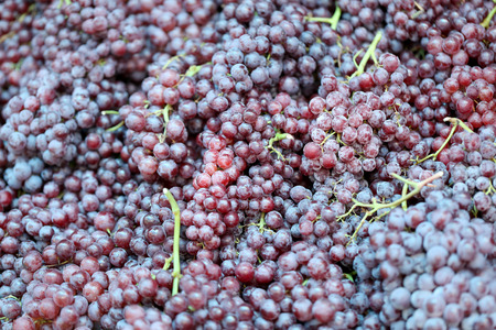 Pile fresh grapes in the foods market.の写真素材