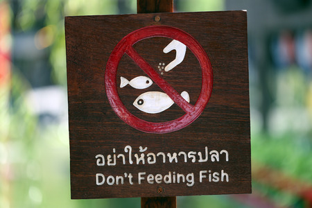 Safety wood Signs in the park on Don't feeding fish.の写真素材