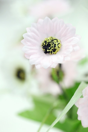 Focus colorful of artificial flowers for the background.の写真素材
