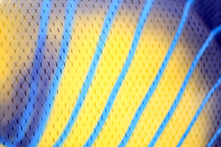 Abstract background of bright colorful.の写真素材