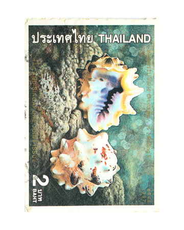 BANGKOK THAILAND - A old stamp printed in Thailand shows image of sea shell animal,A stamp printed by Thailand Post circa 1997.のeditorial素材