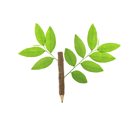 Pencils are made of wood and green leaves.の写真素材
