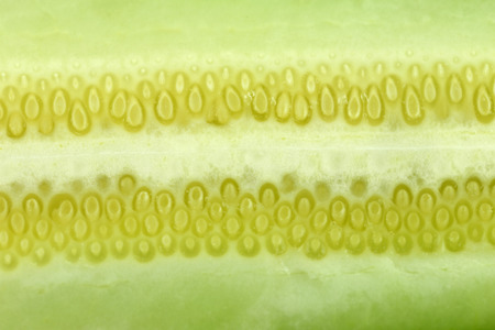 texture of freshness cucumber for foods background.の写真素材