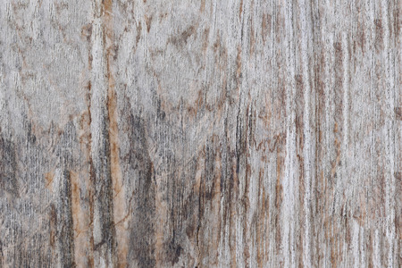 Old wood texture for the design background.