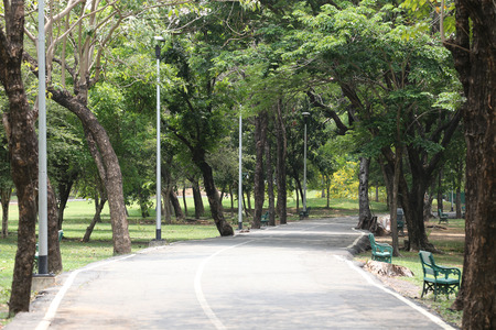 Road in the public park in day time.の写真素材