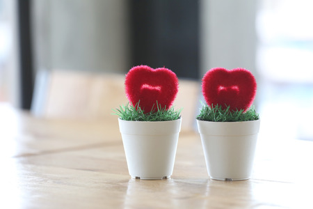 Flowerpot with artificial heart placed on table in concept of marriage and love.の写真素材
