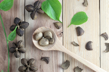Legumes of Sacha inchi or Inca peanut on wood background for design concept of herbs.の写真素材