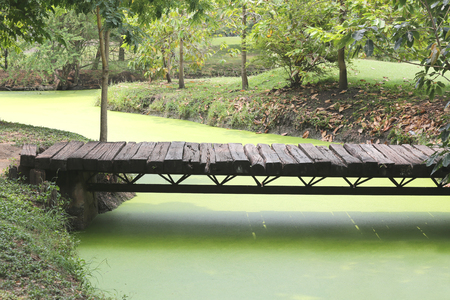 wooden bridge across the canal in the garden.の写真素材