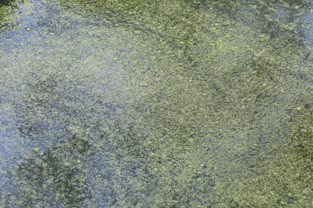 Abstract waste water in canal because waste discharge from industrial plants.