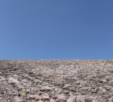 Agricultural land in rural areas and blue sky background.の写真素材