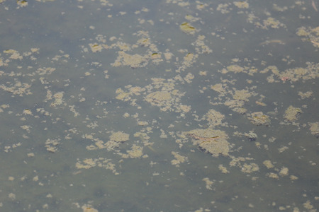 Abstract waste water in canal because waste discharge from industrial plants.