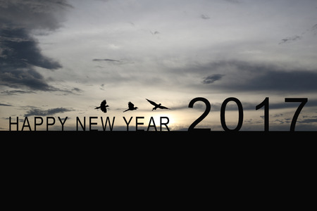 Silhouette of number 2017 on the house roof and sunset in twilight sky,concept of the New Year and Christmas.の写真素材