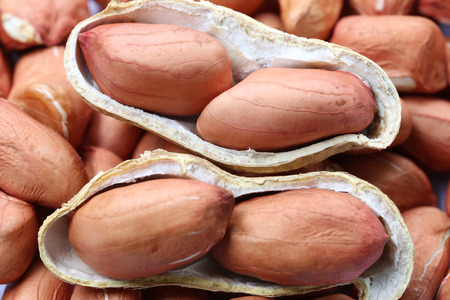 Focus fresh Peanuts,concept of natural food and health.