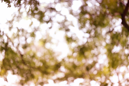Abstract nature bokeh blurred background for the design advertising your text on backdrop in copy space.の写真素材