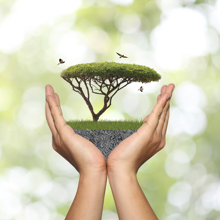 Tree in hand with green grass and ground,concept of nature conservation and world cure.の写真素材