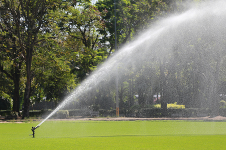 Sprinkler in Watering green lawn of golf courses in the morning.の写真素材