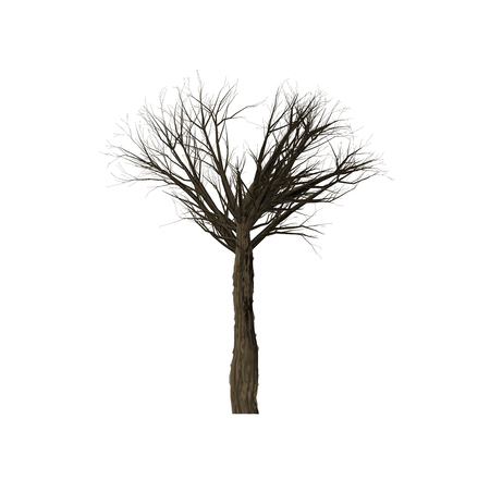 Dead trees of computer graphics in create isolated on white background.の写真素材