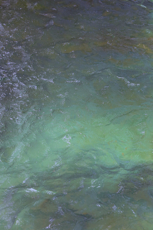 surface of the water in the pool.の写真素材