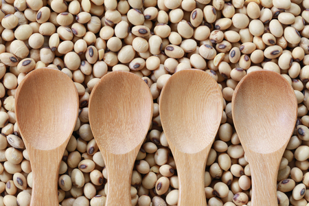 empty wooden spoon on pile soybean for design nature foods background.の写真素材