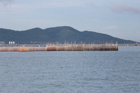 Fishing tools made of bamboo in Thailand sea traditional fishing of the local people.の写真素材