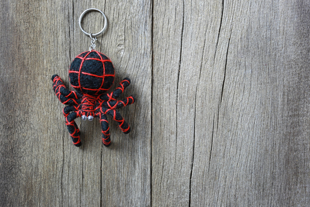 Key chain spider on old wooden background and have copy space for design in your work backdrop.の写真素材