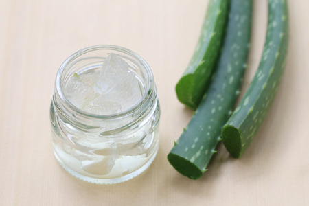 Sliced fresh Aloe Vera on wooden floor,Tropical herbs there are many Medicinal value.の写真素材