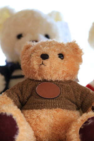 Close up doll of brown bear for design idea in your work.の写真素材