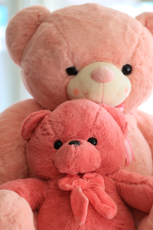 Close up doll of pink bear for design idea in your work.の写真素材