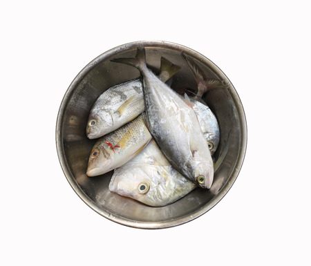 Fresh mix sea fish in a stainless bowl isolated on white background and have clipping paths with create from pen tool function of Photoshop.の写真素材