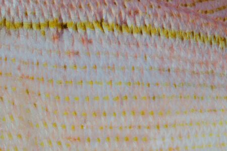 Skin pattern of a brownstripe red snapper fish,Texture of animal background.の写真素材