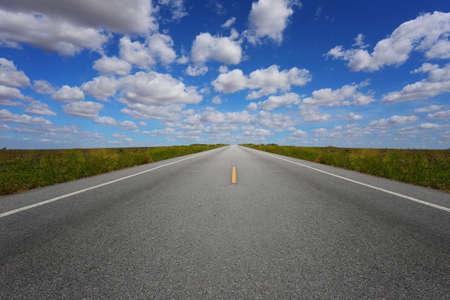 Rural road with Meadow on both sides during the daytime in blue sky.